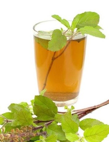 الزعتر والنعناع لعلاج الزكام والسعال