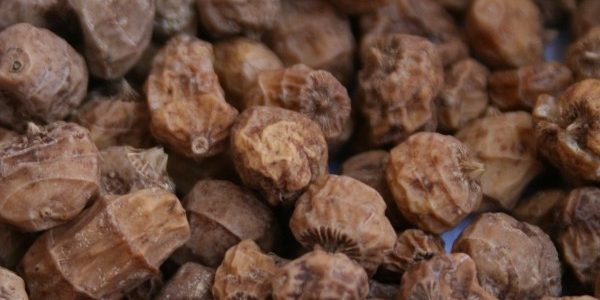 حب العزيز للتسمين في اسبوع وكيفية زيادة الوزن باستخدامه بطريقة صحية