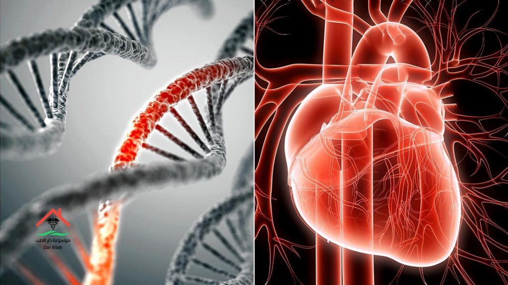 طرق العلاج والوقاية من أمراض القلب