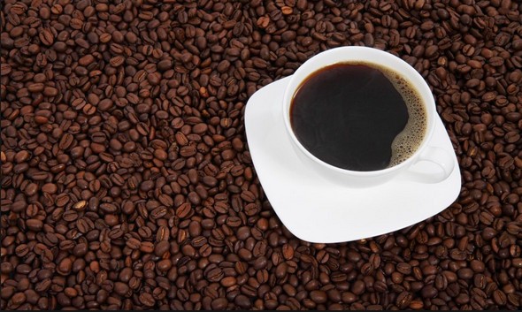 اصل بذور القهوة
