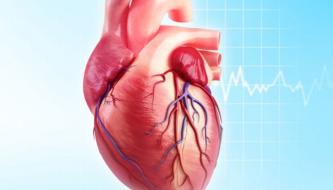 امراض القلب والشرايين وعلاجها