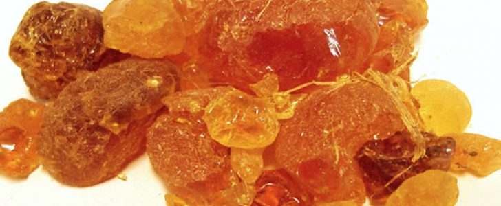 لبان الدكر للتخسيس جابر القحطاني وكيفية استعماله بشكل صحيح