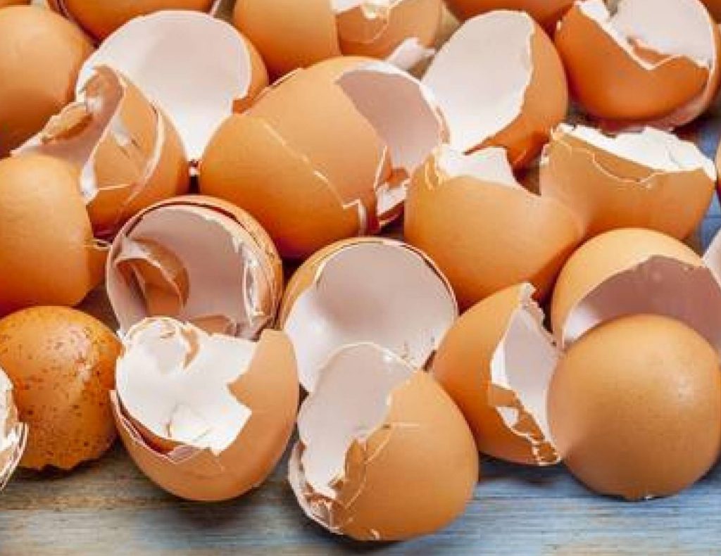 فوائد قشر البيض للرجال