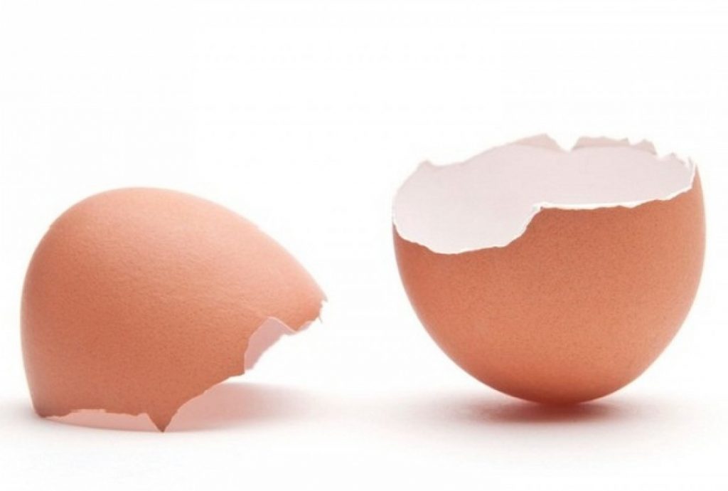 Photo of فوائد قشر البيض للرجال وأفضل طريقة لاستخدامه