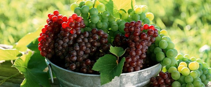 فوائد العنب