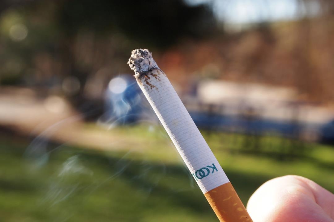 Photo of فوائد التدخين واضراره للصحة