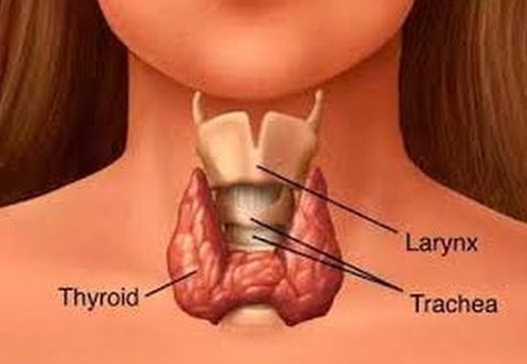 بالتفصيل الدرقيه اعراض الغده تعرفي على