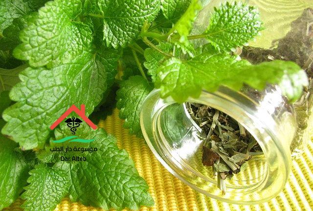 علاج الحموضة بالاعشاب