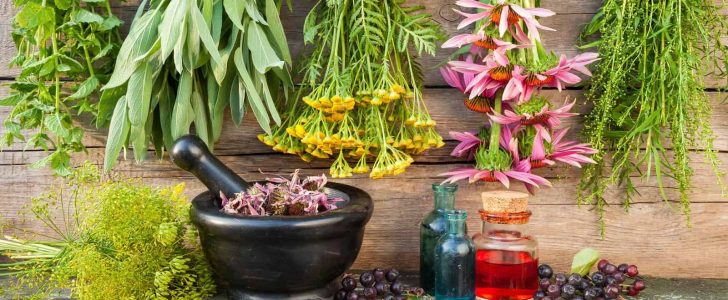 علاج البهاق بالاعشاب وكيفية استخدام الحبة السوداء