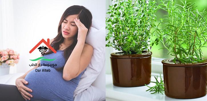 علاج ضيق التنفس عند الحامل بالاعشاب
