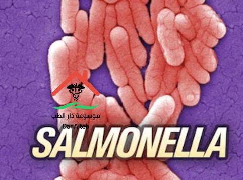 salmonella السالمونيلا اعراضها وعلاجها