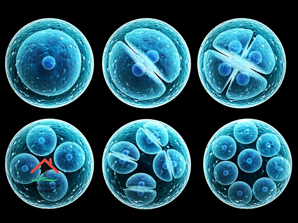Photo of الخلايا الجذعية وأهميتها ودورها الكبير في علاج العديد من الأمراض