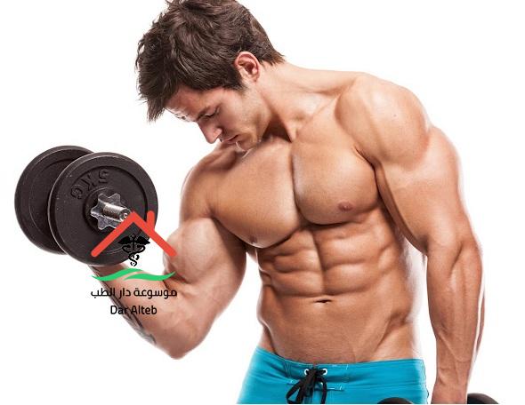 كمال الأجسام للمبتدئين