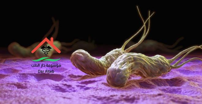 Photo of الميكروب الحلزونى اعراضه وافضل ادوية علاج الميكروب الحلزونى